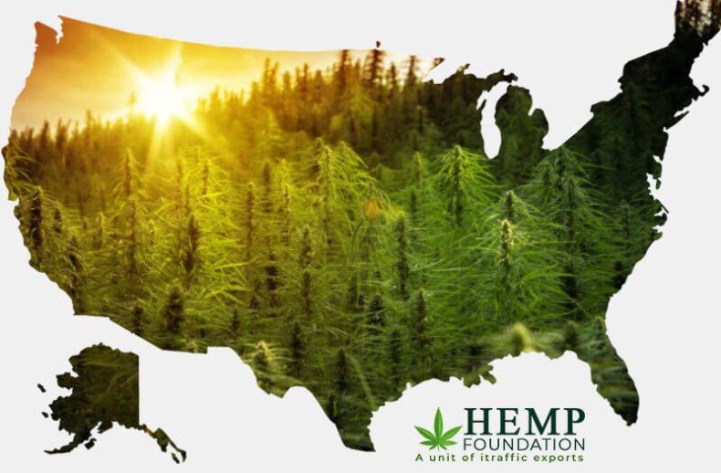 Hemp Industry in the United States Regulatory hurdles for the hemp industry in the US: a comprehensive analysis of the challenges and solutions